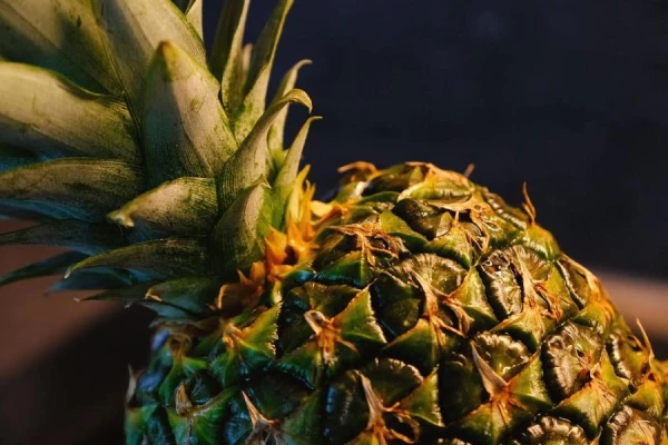 Does Pineapple Really Help Burn Fat in the Body