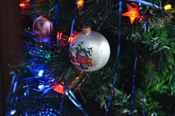 Christmas Tree, Hurry Up! Threw Away the Tree Too Late? - The Whole House Will Pay