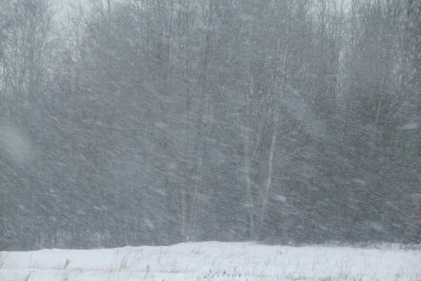 In the Evening on Wednesday, a Blizzard Will Begin in Kurzeme