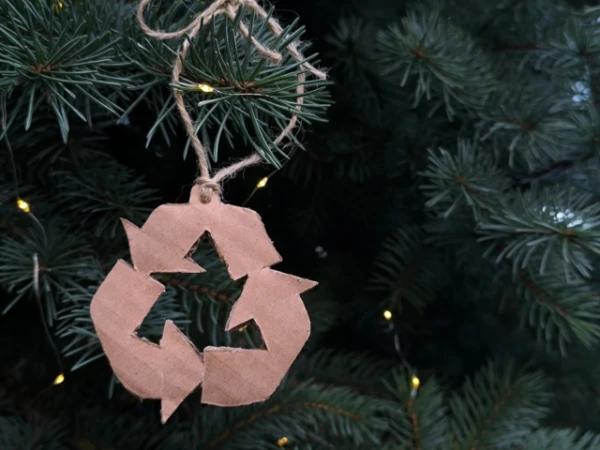 These So-Called Eco-Friendly Habits Do More Harm Than Good