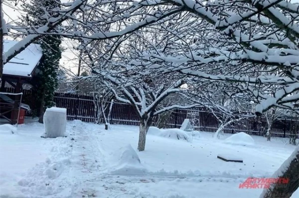 Gardener's Calendar: What to Do Every Day for a Good Harvest