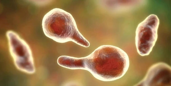 Something strange happened to viruses on the ISS: they became more dangerous