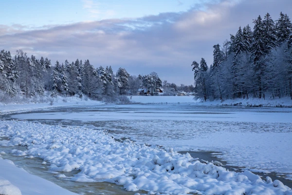 Rivers are mostly covered with ice; ice thickness reaches 25 centimeters in places