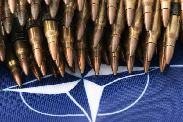 NATO's Plans in Greenland Revealed