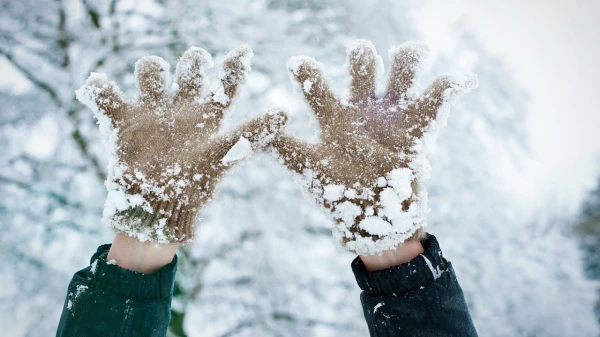 Mittens or Gloves: What Really Protects Hands from the Cold Better