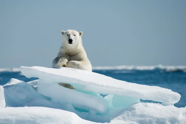 Latvia is ready to defend the Arctic from the Chinese and Russians – Defense Minister