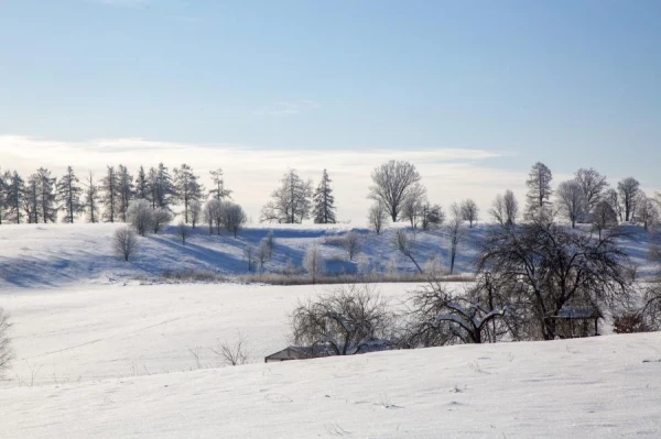 No precipitation is expected in Latvia on Sunday