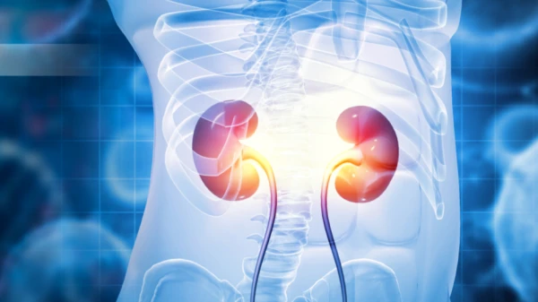 An Early Sign of Chronic Kidney Disease Development Identified