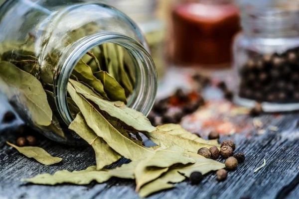 Beneficial Properties of Bay Leaf Identified
