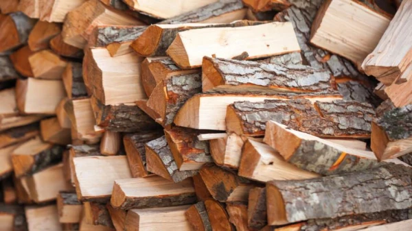 Due to the Frosts in January, the Price of Firewood Increased