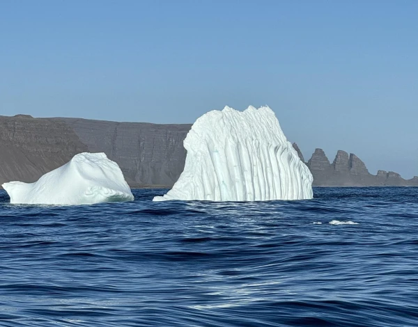 Icebergs on the Elbe Delight Locals and Alarm Ferry Companies