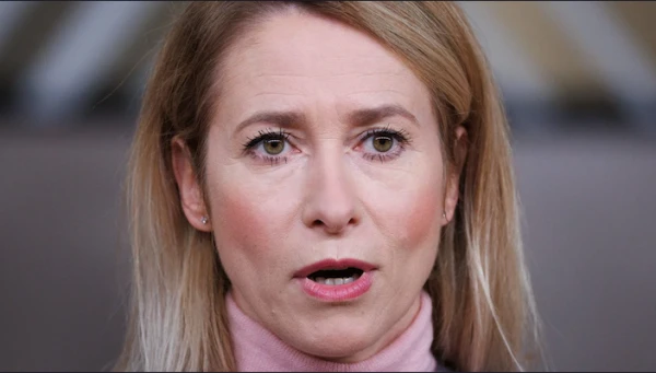 Stop! Kallas Refuses to Conflict with the US Over Greenland