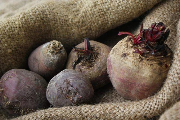 Why do some root vegetables store well while others rot quickly?