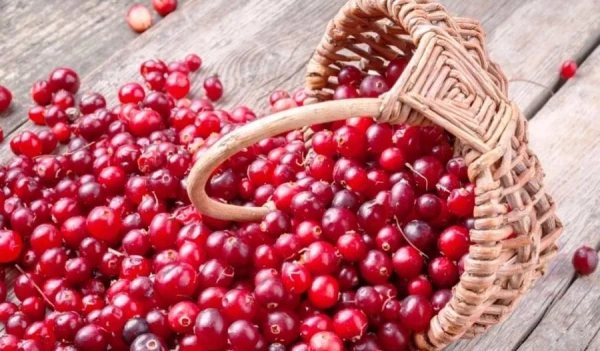 Foods That Help Prevent Fluid Retention in the Body