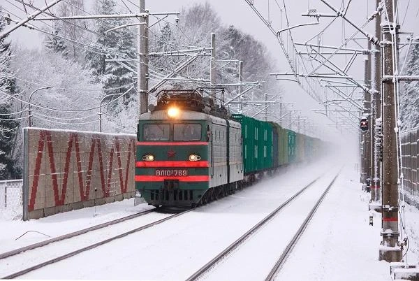 Volunteers Found the Body of the Cat Twix, Thrown Out of the Train by the Conductor