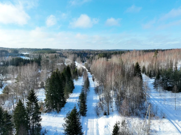 Since the winter solstice, the length of the day has increased by an hour