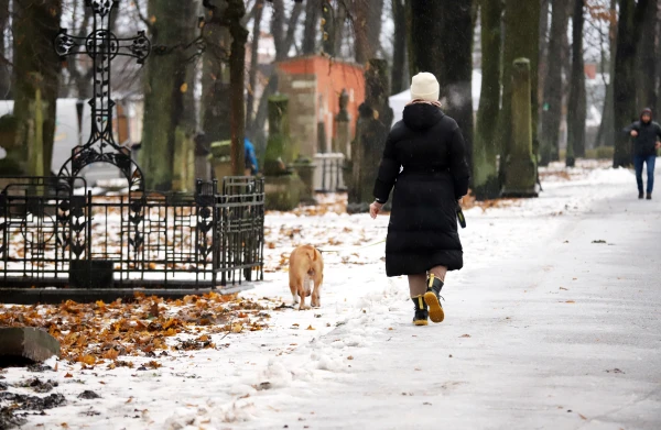 When a grave can be recognized as unkempt: what the new law provides