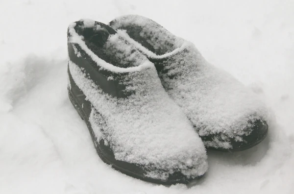 Frosts Will Hit Latvia Again - Meteorologists Issue a Warning