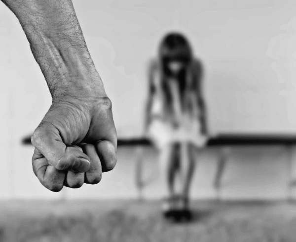 Violence in Families and Child Witnesses: Institutions Acknowledge They Respond Too Slowly