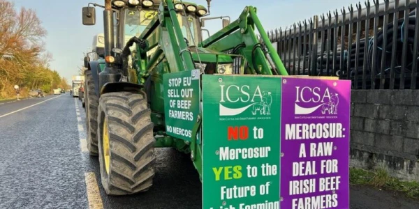 The European Parliament has frozen the trade deal with MERCOSUR