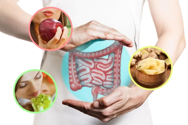 Natural Ways to Cleanse the Intestines Safely