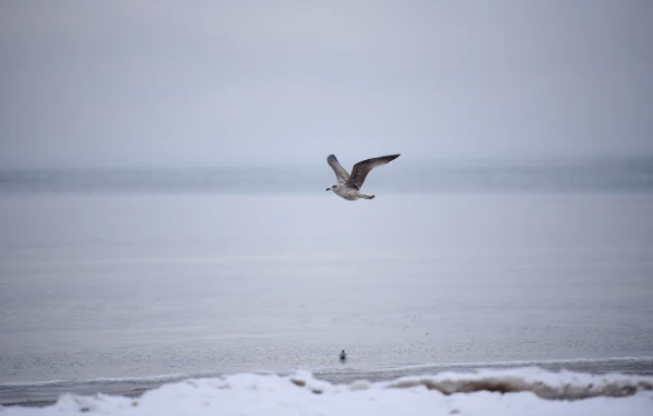 During the day, the air temperature will not rise