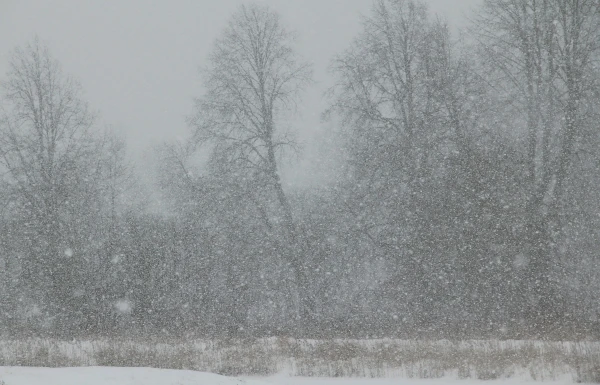 Weather with Surprises: Dangerous Ice Possible Next Week