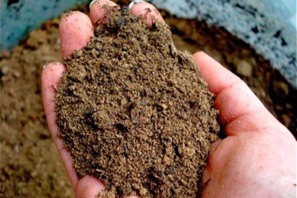 How to Improve Sandy Soil?