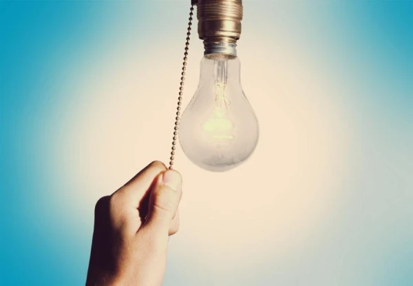 Why do nocturnal insects circle around the lamp?