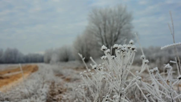 Forecasters ‘cheered up’ with the forecast for Monday