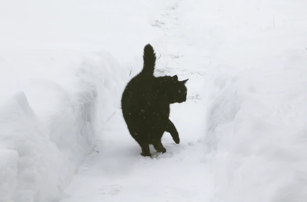 Snowfall and 'minus 20' - forecasters surprised with the forecast for the beginning of the new week in Latvia