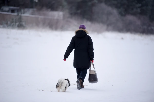 A Powerful Snowfall is Coming to Latvia - Meteorologists Have Issued a Warning