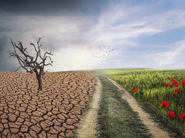 The United States Officially Exits the Paris Climate Agreement for the Second Time in Five Years