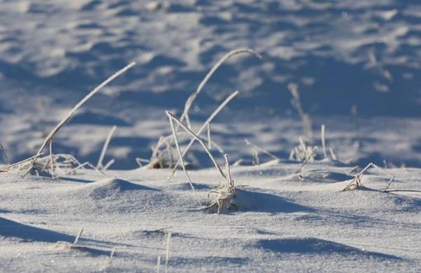 The snow cover in Zemgale increased by ten centimeters