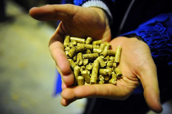 How Justified is the Panic Over Pellets?