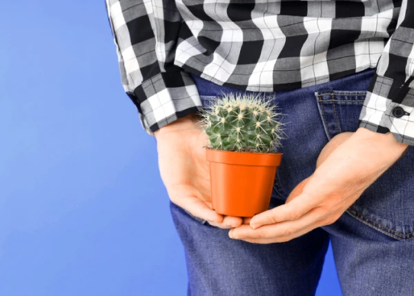 8 Questions to a Proctologist About Hemorrhoid Treatment That You Were Afraid to Ask