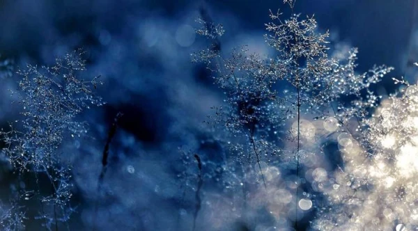 On Thursday, the frosts will intensify even more. Are you ready?