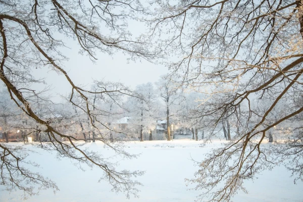 The South of Latgale is covered with a layer of snow up to 45 centimeters thick
