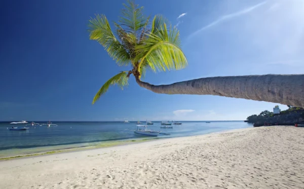 Чудненькое побережье тут повсюду.