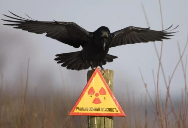 Radioactive Substances Discovered in the Air of Estonia