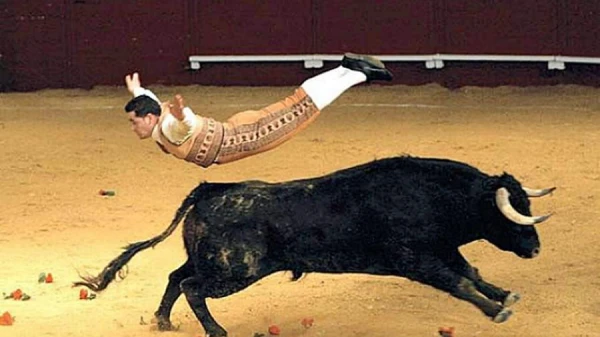 Do bulls really react to the color red? Or is the reason something else?