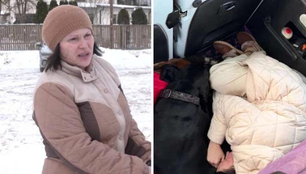 “Either you or the dogs”: a woman’s new car broke down on the highway, and the assistance service shrugged