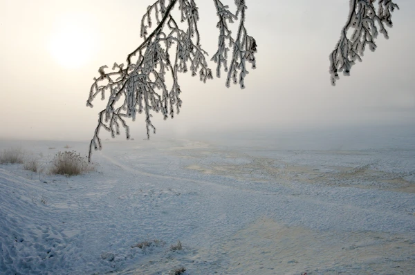 Last night and this morning in Daugavpils, the temperature dropped to -32.8 degrees