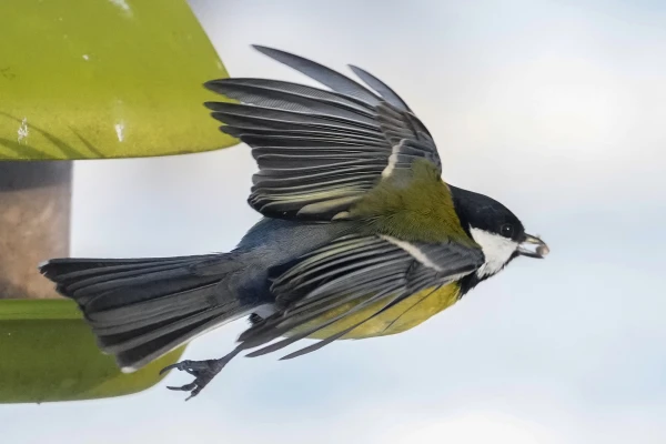 Up to -30 at night and sunny during the day: Latvia is in for a contrasting Sunday