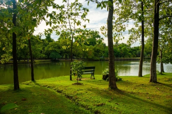 Salt, Plastic, and Extreme Heat Deteriorate Urban Soil