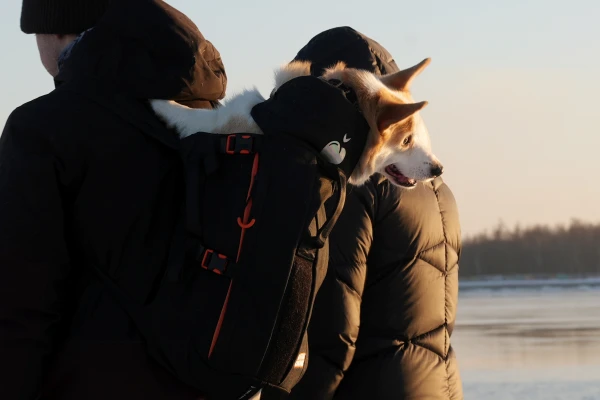 Caution! Floating Ice Discovered in the Gulf of Riga