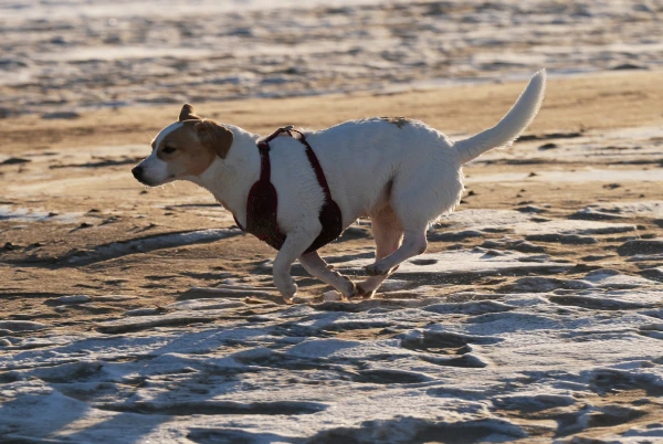 Fierce frost to hit Latvia - meteorologists issued an orange warning