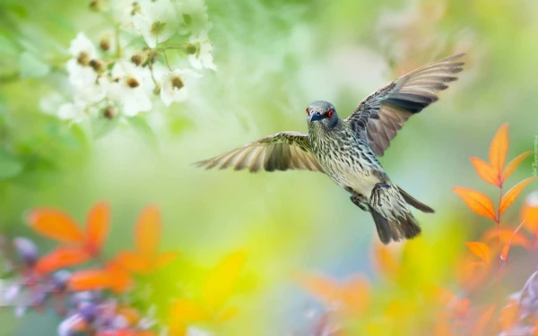 20 Reasons to Wake Up at 5 AM and Change Your Quality of Life