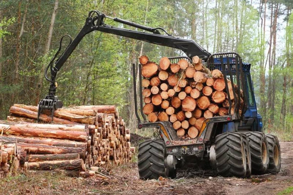Knocked on wood: the authorities of Latvia have again seriously fallen out