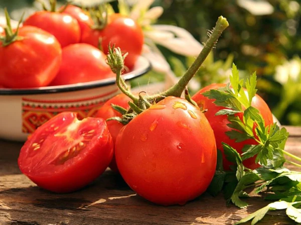The doctor explained why raw tomatoes without salt help lower blood pressure